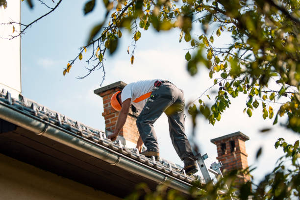Best Residential Roof Replacement  in Chestnut Ridge, NY