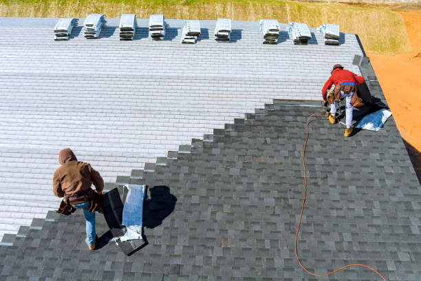 Best Roof Gutter Cleaning  in Chestnut Ridge, NY